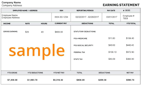 Free Check Stubs Online Maker 8 Printable Pay