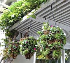 28 Adorable Diy Hanging Planter Ideas
