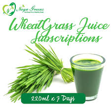 wheatgr juice weekly subscription