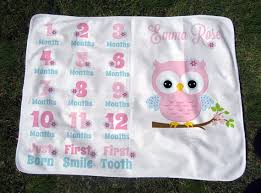 Personalized Owl Milestone Blanket Girls Owl Growth Chart Blanket Baby Month Blanket With Owl Baby Photo Prop Baby Shower Gift