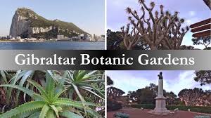 gibraltar botanic gardens tour