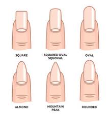 nail oval shape vector images over 270