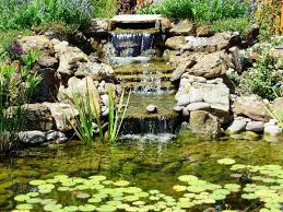 Sublime Water Gardens Pond Depot 762 E
