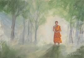 Asian Forest Walking Buddhist Monk