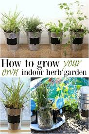 planting an indoor herb garden indoor