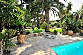 Palm Tree Landscaping Ideas Indoor And