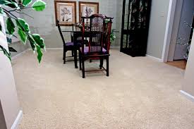 carpets that hide stains and footprints