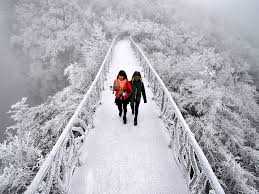 Image result for IMAGE CHINA GLASS BRIDGE