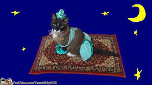 cat riding magic flying carpet
