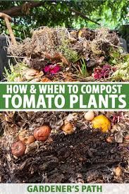how and when to compost tomato plants