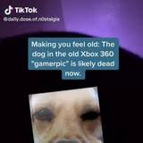 Select create gamer pic pack. Daily Dose Of Noste Making You Feel Old The Dog In The Old Xbox 360 Gamerpic Is Likely Dead Now Ifunny