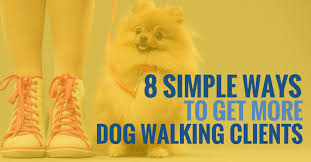 8 Simple Ways To Get More Dog Walking Clients For My Pet Sitting