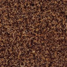 leisure time brown plush carpet indoor