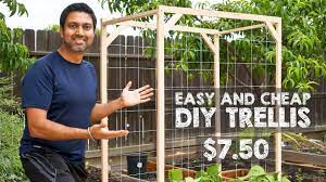 how to make easy and trellis