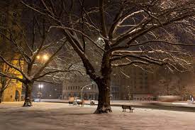 Город Зима Ночь - Бесплатное фото на Pixabay - Pixabay