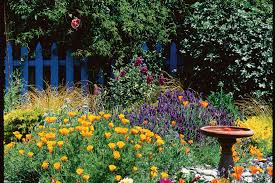growing an english cottage garden in