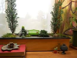 More About Indoor Miniature Gardening