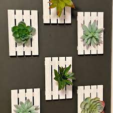 Indoor Plant Wall Diy With Succulents