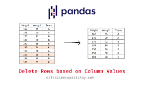 pandas delete rows based on column