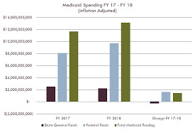 Medicaid Fiscal Year 2018 State Budget Louisiana Budget