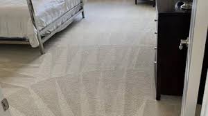 carpet cleaners in louisville ky