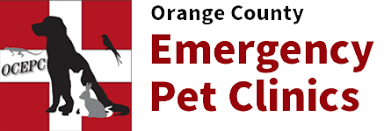 emergency veterinarian and