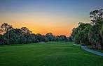 Bear at Forest Country Club, The in Fort Myers, Florida, USA ...