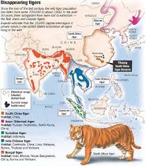 Tigers Natural Habitat Map Tiger Habitat Tiger Population