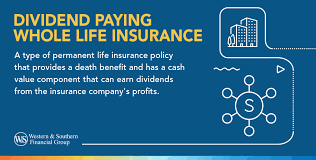 Whole Life Dividend Paying Life Insurance gambar png