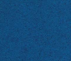Blue Wall To Wall Carpet From