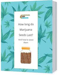 how long do seeds last learn