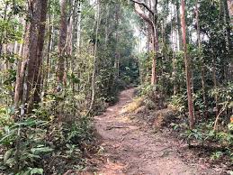 Malaysia — negeri sembilan — gunung angsi. Trans Gunung Angsi Hike From Bukit Putus Pokok Kelapa