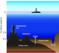 aphotic ocean seafloor