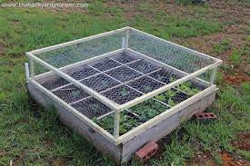 Keep Critters Out Of Your Raised Beds