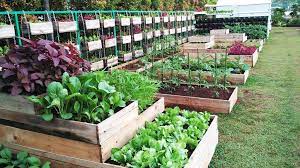 how to plan your vegetable garden