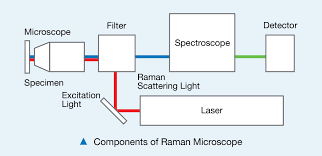 Uv/vis absorption and raman spectroscopy. Spectroscopy Pasco