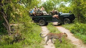 is safari in south africa safe safety