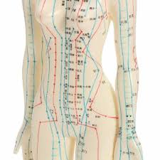 Us 31 09 30 Off Human Body Acupuncture Model Female Meridians Model Chart Book Base 48cm In Medical Science From Office School Supplies On