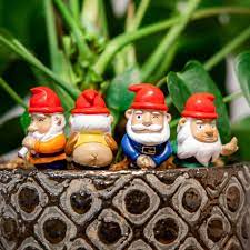 Mini Plant Pot Gnomes Firebox