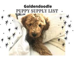 Best for sensitive stomachs and. Goldendoodle Puppy Supply List 15 Essential Items The Doodle Blog