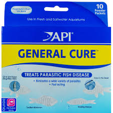 Details About Api General Cure Parasite Treatment External Internal Powder Packet 10 Pack
