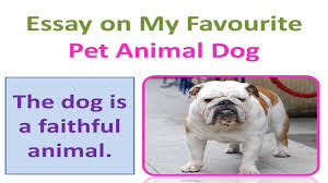 Essay On My Favourite Pet Animal Dog In English
