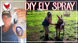 how to make diy fly spray