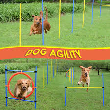 pawhut dog pet obstacle agility