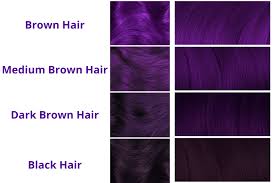 This can professionally be done by a colorist or an in a nearby hairdressing school. How To Dye Dark Hair Purple Without Using Bleach