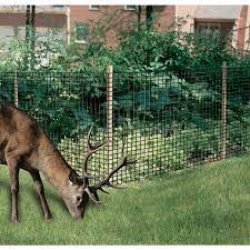 Dalen Deer X Premium 7 X50 Heavy