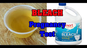 home pregnancy test with bleach