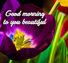 good morning flowers wishes with images