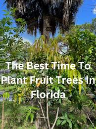 Garden Florida Tropical Fruit Gardening