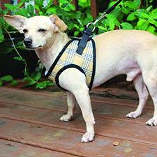 Bark Appeal No Pull Harness Pet Vest Soft Step In Mesh Puppy Comfort Adjustable Padded Vest Ez Wrap No Choke Design Harness With Leash Small Tan